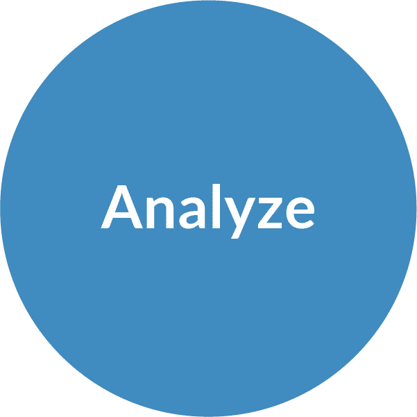 Financial Planning Process - Analyze